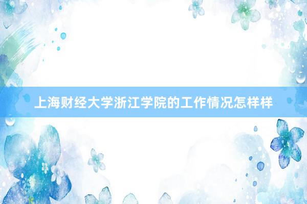 上海财经大学浙江学院的工作情况怎样样