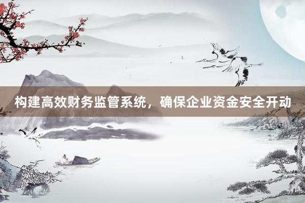 构建高效财务监管系统，确保企业资金安全开动
