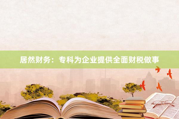 居然财务：专科为企业提供全面财税做事